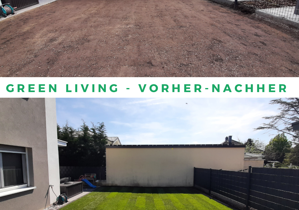 Rollrasen Vorher - Nachher